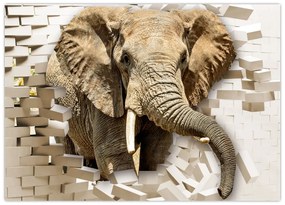 Tablou pe sticlă - Elefant spârgând peretele (70x50 cm)