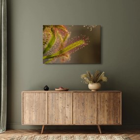Tablou cu plantă (90x60 cm)
