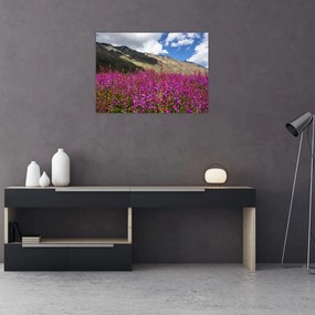 Tablou pe sticlă sceneriei cu lunca montană (70x50 cm)