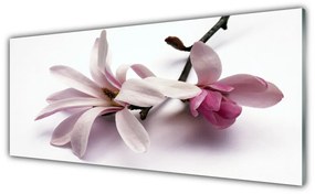 Tablouri acrilice Florale flori albe