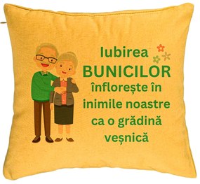 Perna Decorativa pentru Bunici 5, 40x40 cm, Galben, Husa Detasabila, Burduf