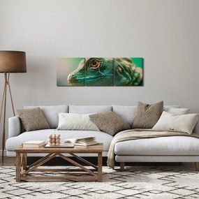 Tablou detailat cu o șopârlă (cu ceas) (90x30 cm)