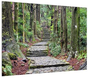 Tablou cu trepte din piatră în pădure (70x50 cm), în 40 de alte dimensiuni noi