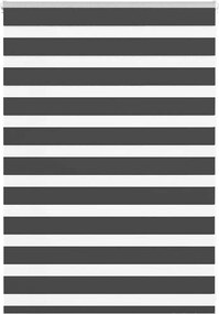 vidaXL Jaluzea tip zebra neagră lățime țesătură 100,9 cm poliester