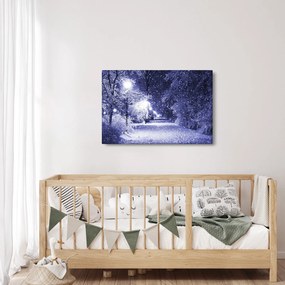 Tablou - Noaptea magică de iarnă (90x60 cm)