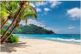 Tablou - Caraibe (90x60 cm)