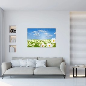 Tablou cu luncă înflorită cu margarete (90x60 cm)