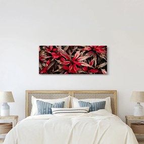 Tablou - Petale roșii (120x50 cm)