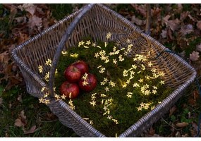 Șirag cu lumini LED Sirius Trille Green, lungime 200 cm