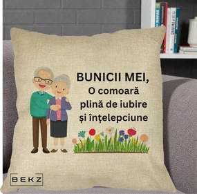 Cadou pentru Bunici - Perna Personalizata Bunicii Mei Comoara Cuplu Senior cu Flori Colorat, 40x40 cm, Crem, Husa Detasabila, Perna Inclusa, BEKZ®
