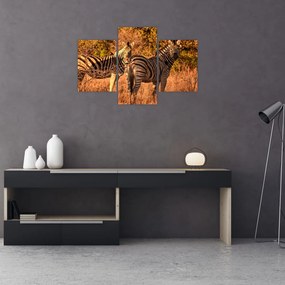 Tablou cu zebre (90x60 cm)