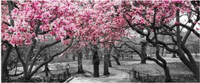 Tablou copacului magnolie (120x50 cm)