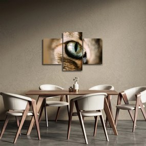 Tablou - Ochi de pisică (90x60 cm)