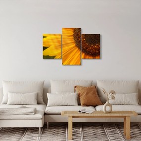 Tablou - Floarea-soarelui (90x60 cm)
