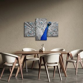 Tablou - păun albastru (90x60 cm)