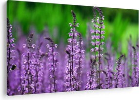 Tablou cu flori de luncă violete (90x60 cm)