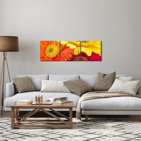 Tablou - Flori Gerbery (cu ceas) (90x30 cm)
