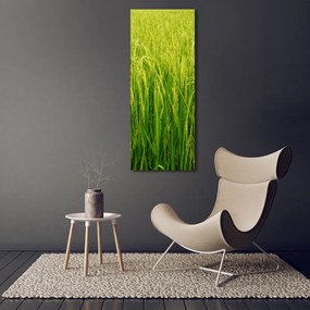 Fotografie imprimată pe sticlă orezarie