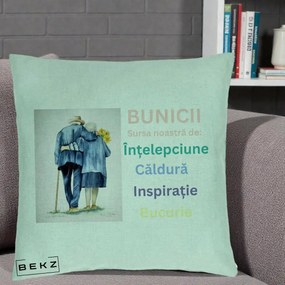 Cadou pentru Bunici - Perna Personalizata Bunicii Sursa Intelepciune Caldura Acuarela, 40x40 cm, Verde Menta, Husa Detasabila, Perna Inclusa, BEKZ®