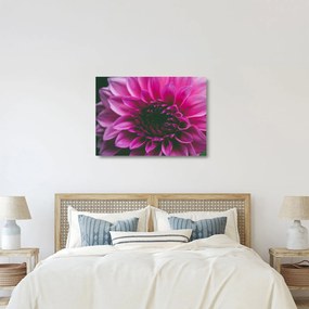 Tablou pe sticlă cu floarea roz (70x50 cm)