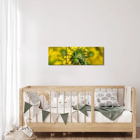 Tablou cu floarea soarelui (cu ceas) (90x30 cm)