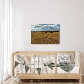 Tablou cu câmp recoltat (70x50 cm)