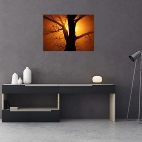 Tablou pe sticlă cu copac în apus de soare (70x50 cm)