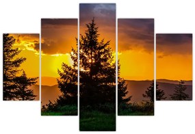 Tablou - coniferi (150x105 cm)