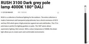 Stalp LED iluminat exterior simetric 180º IP65 RUSH 310cm 4000K DALI