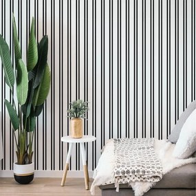 Tapet Black and White Stripes - Smooth