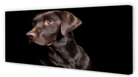 Tablouri canvas maro câine