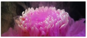 Tablou cu floare în fum roz (120x50 cm)