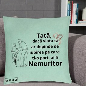 Cadou pentru Tata - Perna Personalizata Tata Nemuritor Bicicleta, 40x40 cm, Verde Menta, Husa Detasabila, Perna Inclusa, BEKZ®