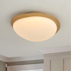 Brilagi - Plafonieră LED VISBY WOOD LED/18W/230V Ø38 cm maro