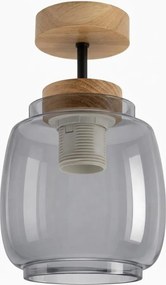 BRILAGI - Lustră LED aplicată R GLASS 1xE27/60W/230V Ø 26 cm stejar/gri fumuriu