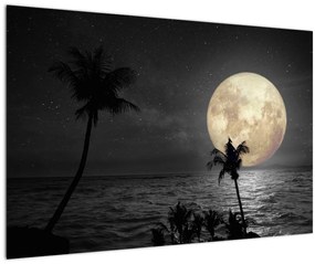 Tablou - Plaja cu lună plină, nuanțe gri (90x60 cm)