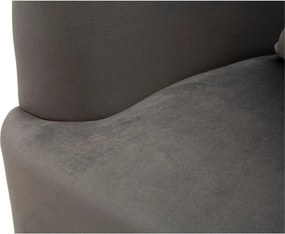 Fotoliu gri cu tapițerie din catifea Silvery – Mauro Ferretti