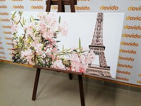 Tablou Turnul Eiffel și florile roz