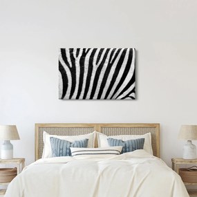 Tablou cu piele de zebră (90x60 cm)