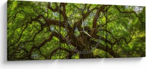 Tablou - Copac verde (cu ceas) (90x30 cm)