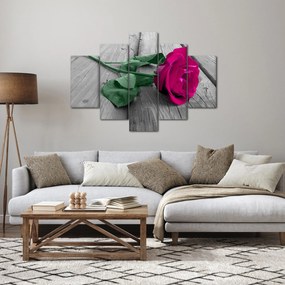 Tablou - Trandafir roz cu tulpina verde (150x105 cm)