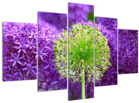 Tablou cu floare (150x105 cm)