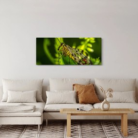 Tablou cu omide (120x50 cm)