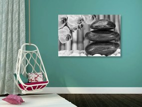 Tablou grădina japoneză Zen în design alb-negru