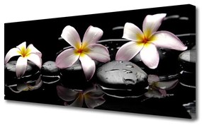 Tablou pe panza canvas Floare pietre Floral Alb Galben Negru