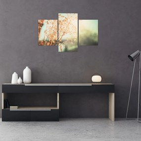 Tablou - Plante după ploaie (90x60 cm)