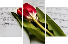 Tablou - Lalea roșie (90x60 cm)
