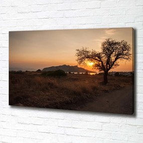 Imprimare tablou canvas Apus de soare