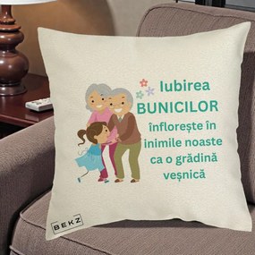 Cadou pentru Bunici - Perna Personalizata Bunicii Iubirea Infloreste cu Nepoata Teal, 40x40 cm, Ecru, Husa Detasabila, Perna Inclusa, BEKZ®