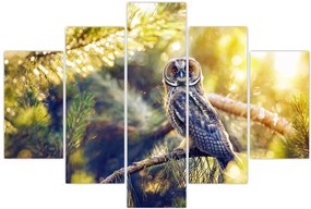 Tablou - Bufniță în copac (150x105 cm)